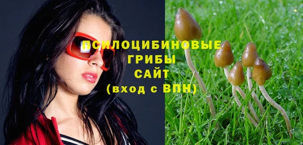марки lsd Зеленодольск