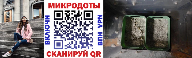 кракен   купить закладку  Калтан  Псилоцибиновые грибы Psilocybe 